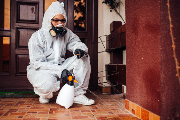 Reliable Mosquito Control contractor in Upper Greenwood Lake, NJ by Nex Pest Control